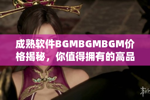 成熟软件BGMBGMBGM价格揭秘，你值得拥有的高品质软件系统