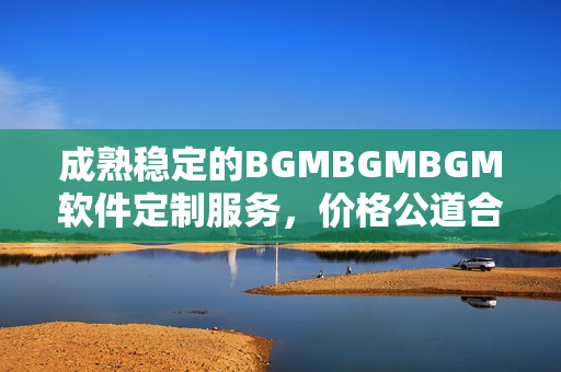 成熟稳定的BGMBGMBGM软件定制服务，价格公道合理