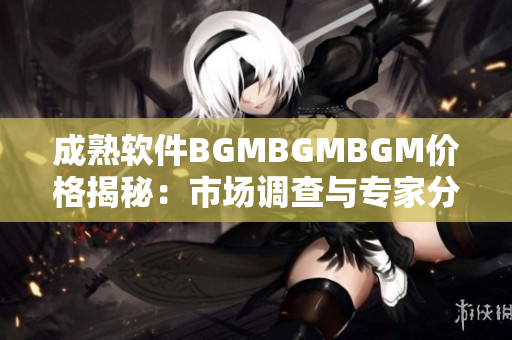 成熟软件BGMBGMBGM价格揭秘：市场调查与专家分析