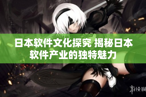 日本软件文化探究 揭秘日本软件产业的独特魅力