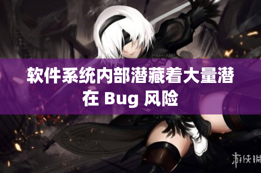 软件系统内部潜藏着大量潜在 Bug 风险