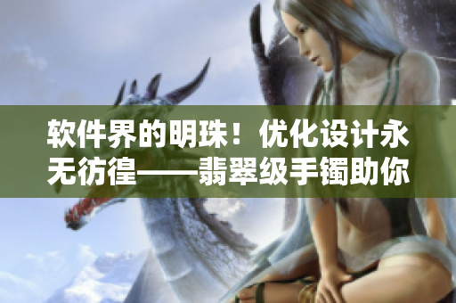 软件界的明珠！优化设计永无彷徨——翡翠级手镯助你开启黑科技新篇章