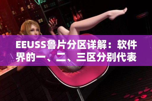 EEUSS鲁片分区详解：软件界的一、二、三区分别代表什么？