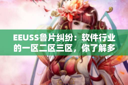 EEUSS鲁片纠纷：软件行业的一区二区三区，你了解多少？
