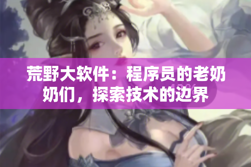 荒野大软件：程序员的老奶奶们，探索技术的边界