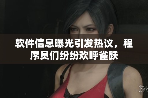 软件信息曝光引发热议，程序员们纷纷欢呼雀跃