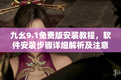 九幺9.1免费版安装教程，软件安装步骤详细解析及注意事项