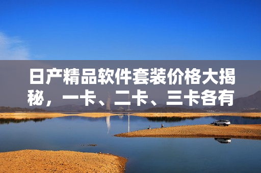 日产精品软件套装价格大揭秘，一卡、二卡、三卡各有何优惠？