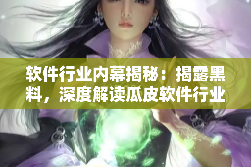 软件行业内幕揭秘：揭露黑料，深度解读瓜皮软件行业风云