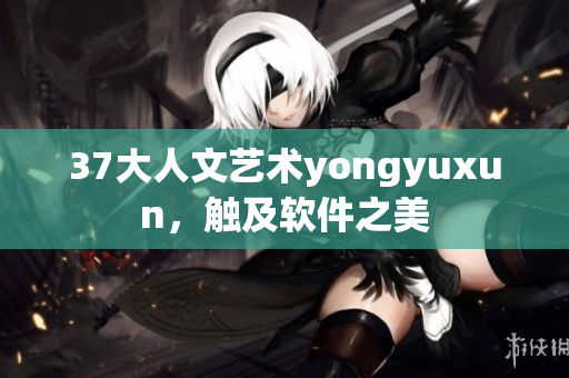 37大人文艺术yongyuxun，触及软件之美