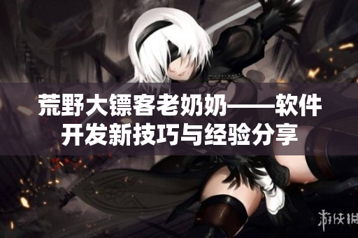 荒野大镖客老奶奶——软件开发新技巧与经验分享