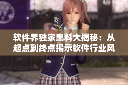 软件界独家黑料大揭秘：从起点到终点揭示软件行业风云变幻的万里长征