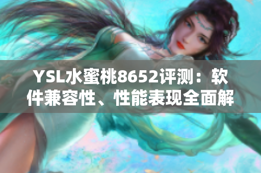 YSL水蜜桃8652评测：软件兼容性、性能表现全面解读