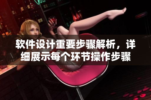 软件设计重要步骤解析，详细展示每个环节操作步骤