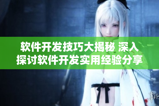 软件开发技巧大揭秘 深入探讨软件开发实用经验分享