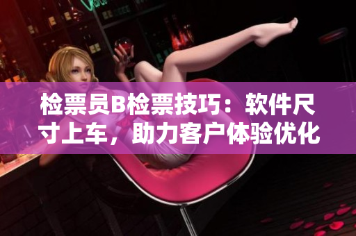 检票员B检票技巧：软件尺寸上车，助力客户体验优化