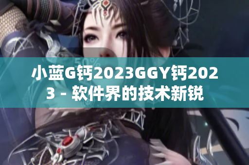 小蓝G钙2023GGY钙2023 - 软件界的技术新锐