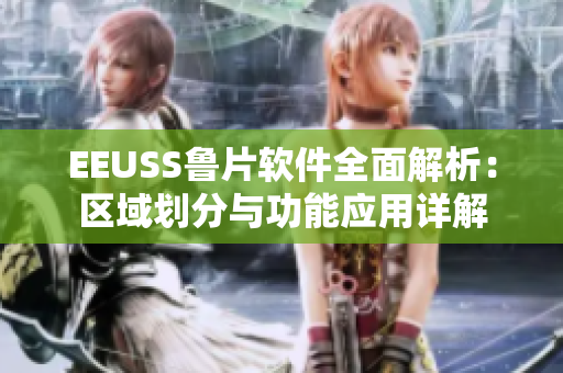 EEUSS鲁片软件全面解析：区域划分与功能应用详解