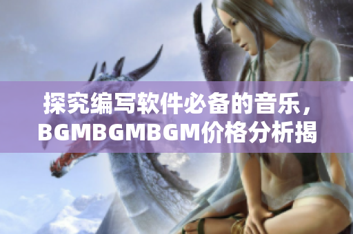 探究编写软件必备的音乐，BGMBGMBGM价格分析揭秘