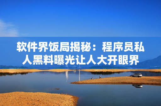 软件界饭局揭秘：程序员私人黑料曝光让人大开眼界