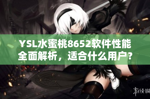 YSL水蜜桃8652软件性能全面解析，适合什么用户？