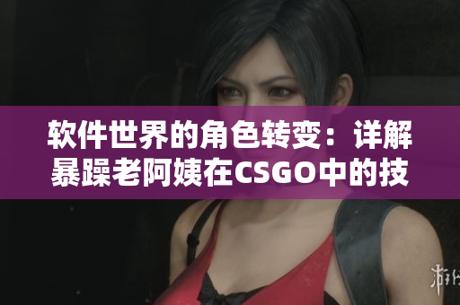 软件世界的角色转变：详解暴躁老阿姨在CSGO中的技术积累