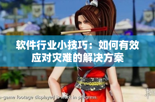 软件行业小技巧：如何有效应对灾难的解决方案