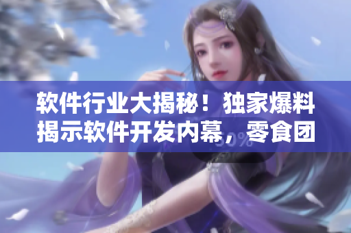 软件行业大揭秘！独家爆料揭示软件开发内幕，零食团队全员跃跃欲试！
