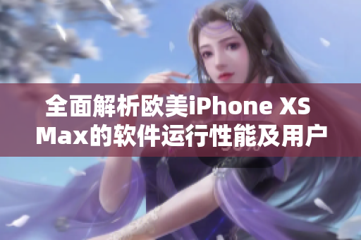 全面解析欧美iPhone XS Max的软件运行性能及用户体验