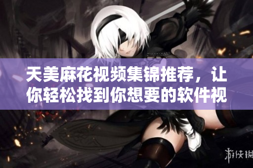 天美麻花视频集锦推荐，让你轻松找到你想要的软件视频攻略