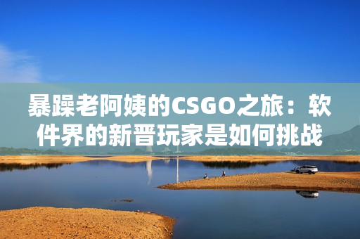 暴躁老阿姨的CSGO之旅：软件界的新晋玩家是如何挑战枪战游戏的