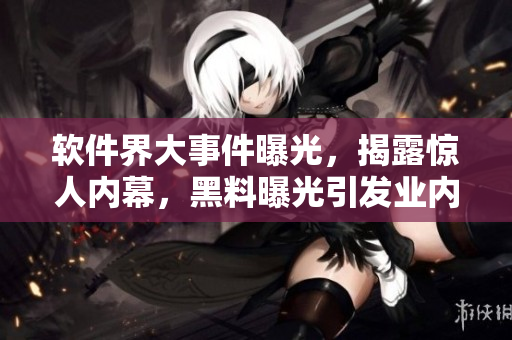 软件界大事件曝光，揭露惊人内幕，黑料曝光引发业内探讨