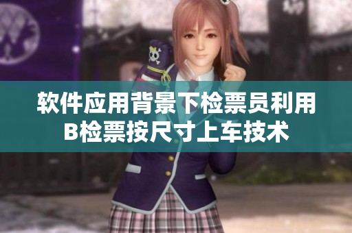 软件应用背景下检票员利用B检票按尺寸上车技术