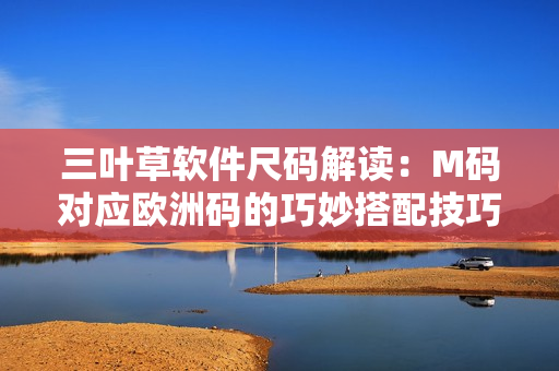 三叶草软件尺码解读：M码对应欧洲码的巧妙搭配技巧