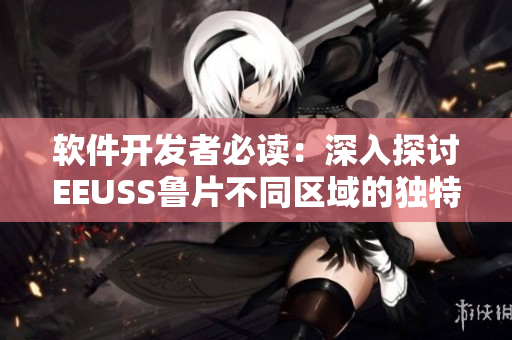 软件开发者必读：深入探讨EEUSS鲁片不同区域的独特特性