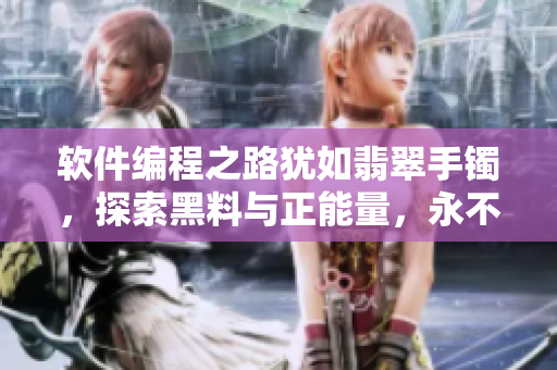 软件编程之路犹如翡翠手镯，探索黑料与正能量，永不迷失在技术迷宫里
