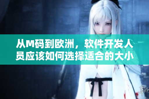 从M码到欧洲，软件开发人员应该如何选择适合的大小？