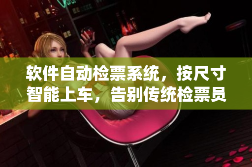 软件自动检票系统，按尺寸智能上车，告别传统检票员