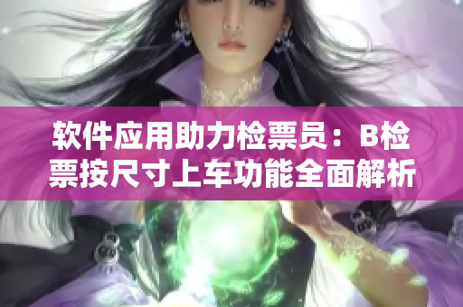 软件应用助力检票员：B检票按尺寸上车功能全面解析