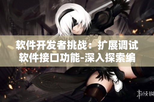软件开发者挑战：扩展调试软件接口功能-深入探索编码技巧