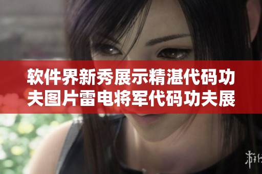 软件界新秀展示精湛代码功夫图片雷电将军代码功夫展示