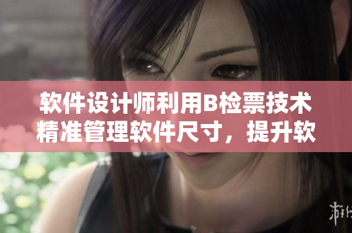 软件设计师利用B检票技术精准管理软件尺寸，提升软件性能