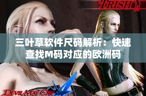 三叶草软件尺码解析：快速查找M码对应的欧洲码