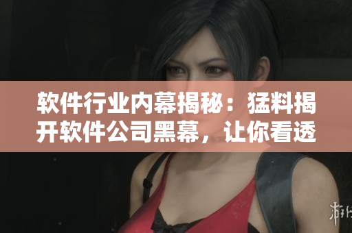 软件行业内幕揭秘：猛料揭开软件公司黑幕，让你看透“吃瓜”的真相!
