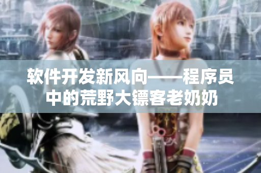 软件开发新风向——程序员中的荒野大镖客老奶奶
