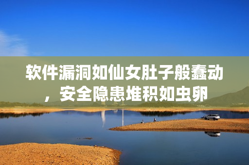 软件漏洞如仙女肚子般蠢动，安全隐患堆积如虫卵