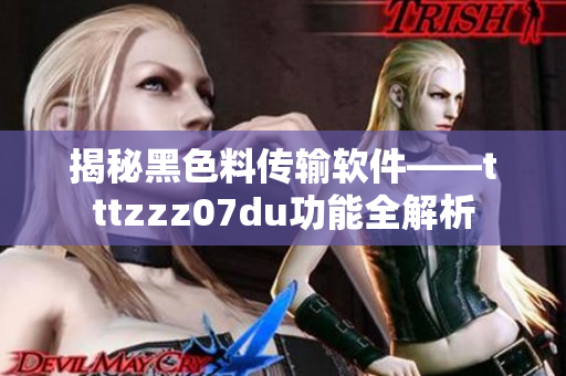 揭秘黑色料传输软件——tttzzz07du功能全解析