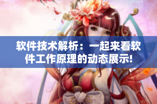 软件技术解析：一起来看软件工作原理的动态展示!