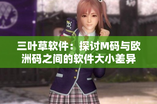 三叶草软件：探讨M码与欧洲码之间的软件大小差异