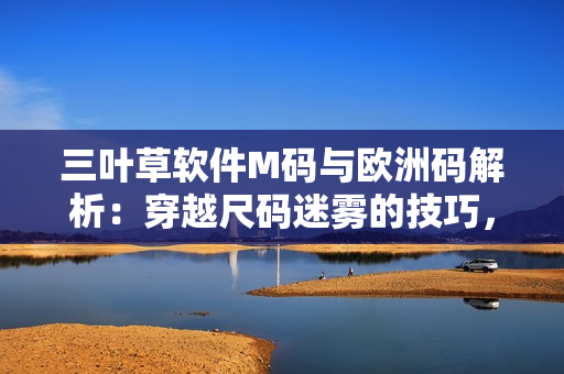 三叶草软件M码与欧洲码解析：穿越尺码迷雾的技巧，轻松读懂尺码对照表